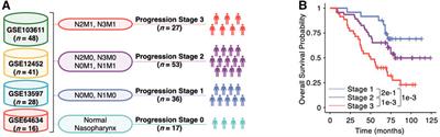 Multiscale Transcriptomic Integration Reveals B-Cell Depletion and T-Cell Mistrafficking in Nasopharyngeal Carcinoma Progression